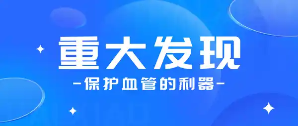 公众号封面制作模板示例